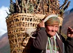 Nepal Locals