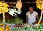 Sri Lanka Locals